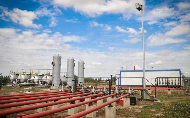 1627453760118097.jpg 7.jpg